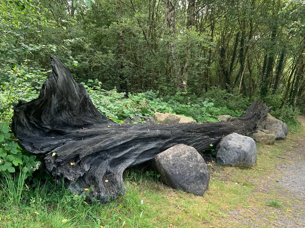 lough boora bike hire