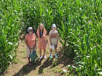 are dogs allowed in wistow maze