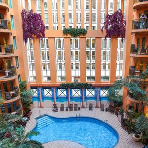 Piscine et jardin intérieur
