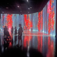 Superblue Miami Immersive Art Experience Ticket in Miami | FL