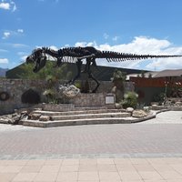 Museo del Desierto (Saltillo) - All You Need to Know BEFORE You Go