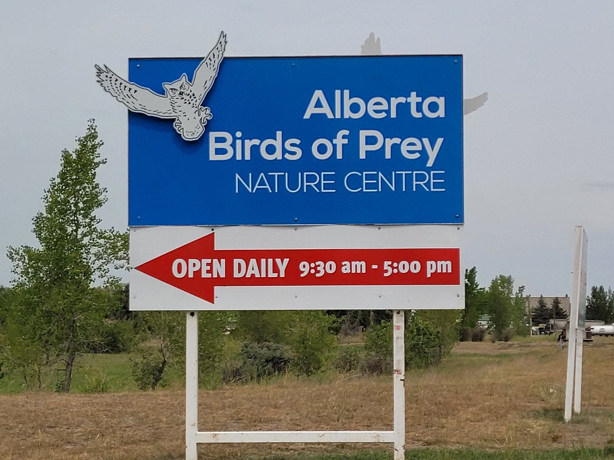 Alberta Birds of Prey Centre in Coaldale, Alberta