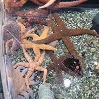 Alaska SeaLife Center (Seward) - All You Need to Know BEFORE You Go