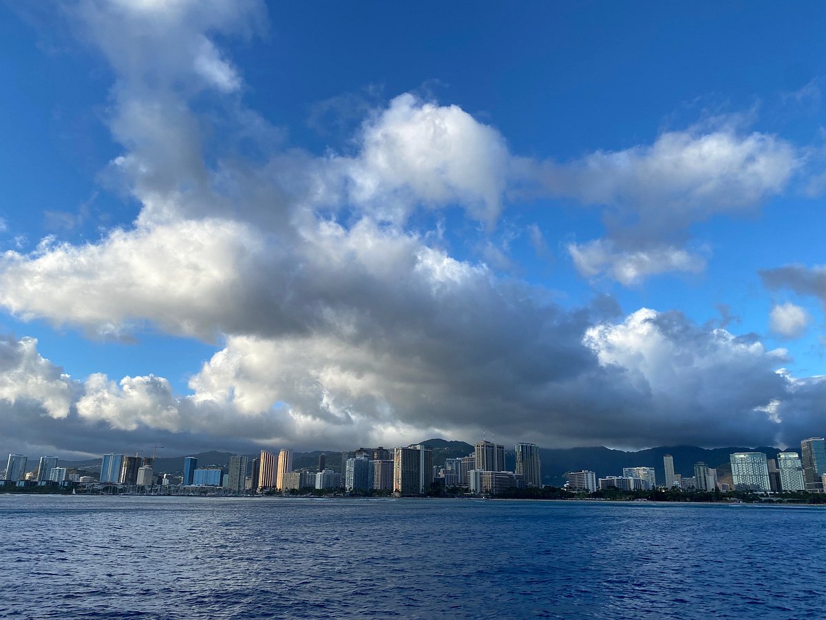 paradise tours honolulu