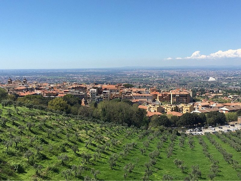 View of Frascati during the day