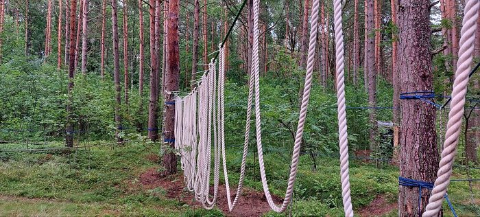 Тара ленд кемпинг Выборг