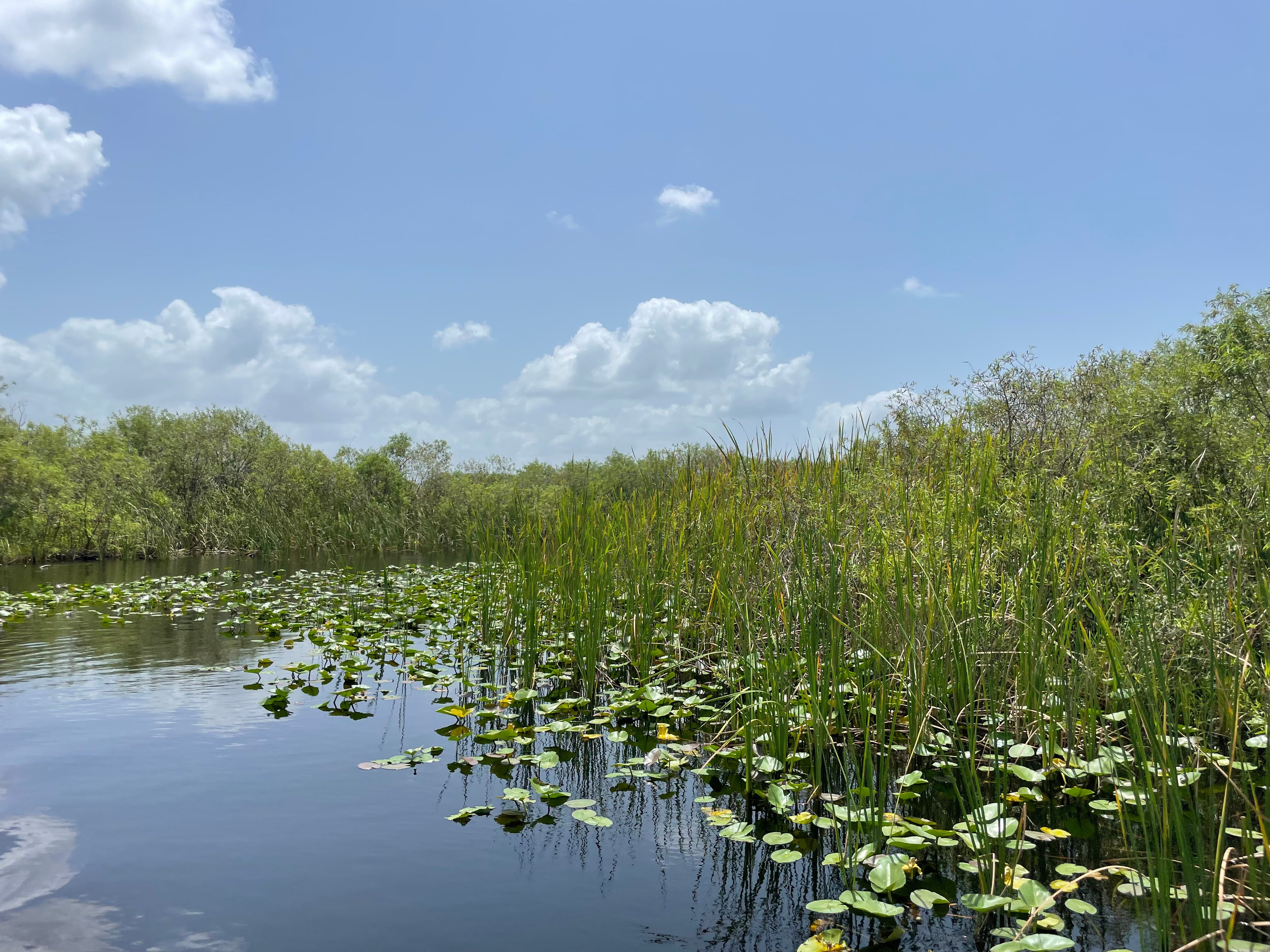 EVERGLADES SWAMP TOURS (Fort Lauderdale) - 2022 What To Know BEFORE You Go