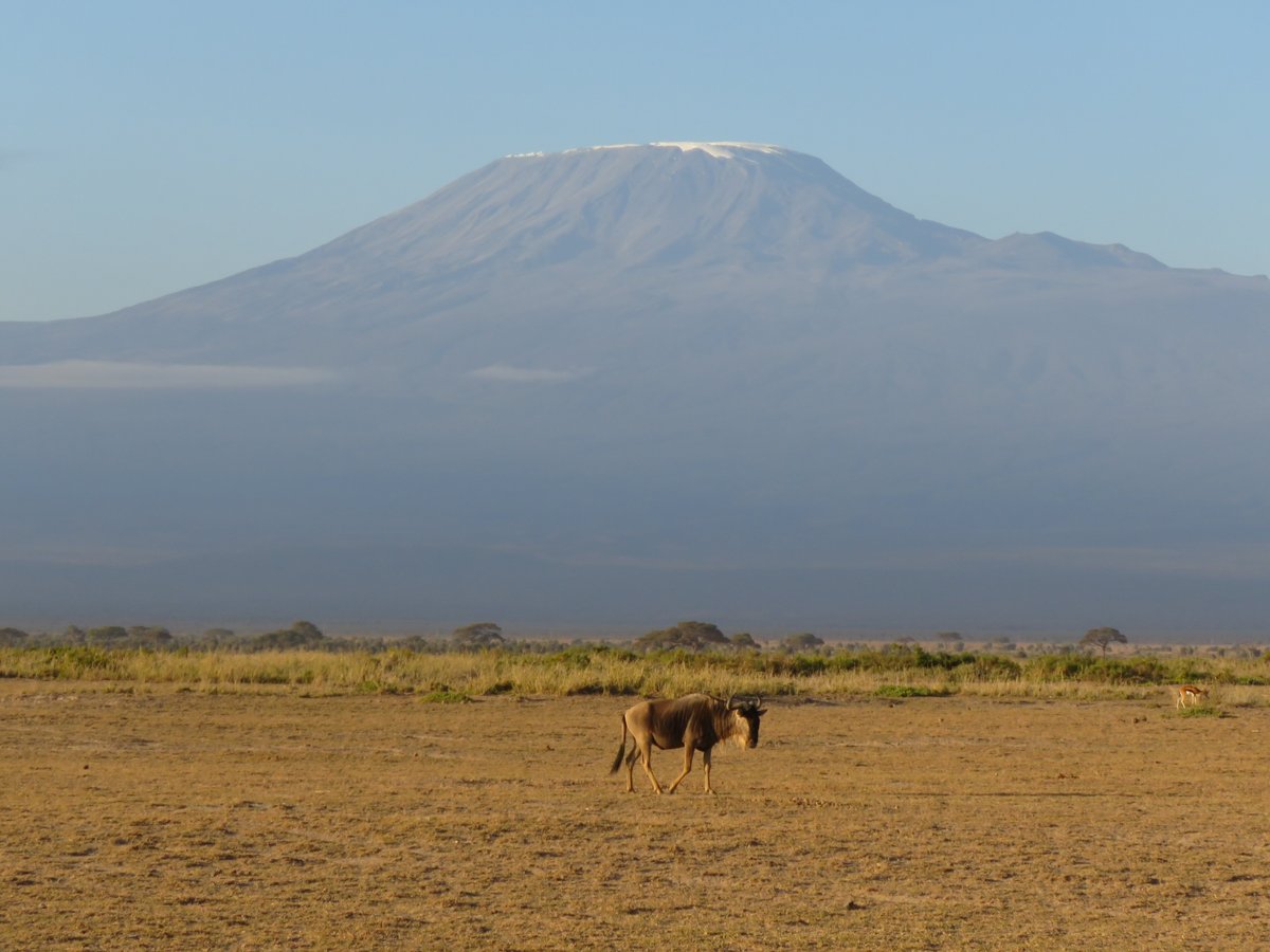 Holyland Africa Safaris (Nairobi) - All You Need to Know BEFORE You Go