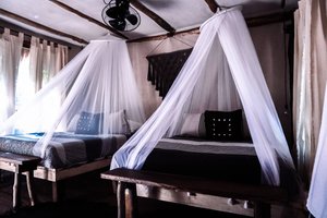 Habitación y suite