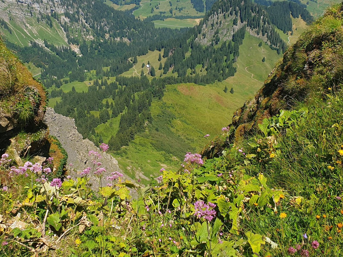 BERGBAHNEN DIEDAMSKOPF (Schoppernau) - All You Need to Know BEFORE You Go