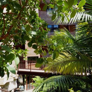 Jardin de La Zoologie