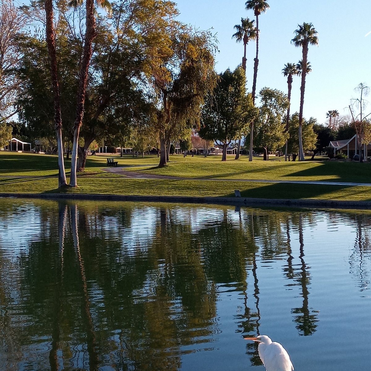 SUNCREST COUNTRY CLUB (Palm Desert) What to Know BEFORE You Go