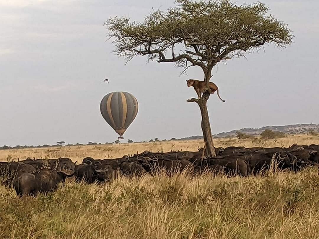 experience zanzibar tours & safaris