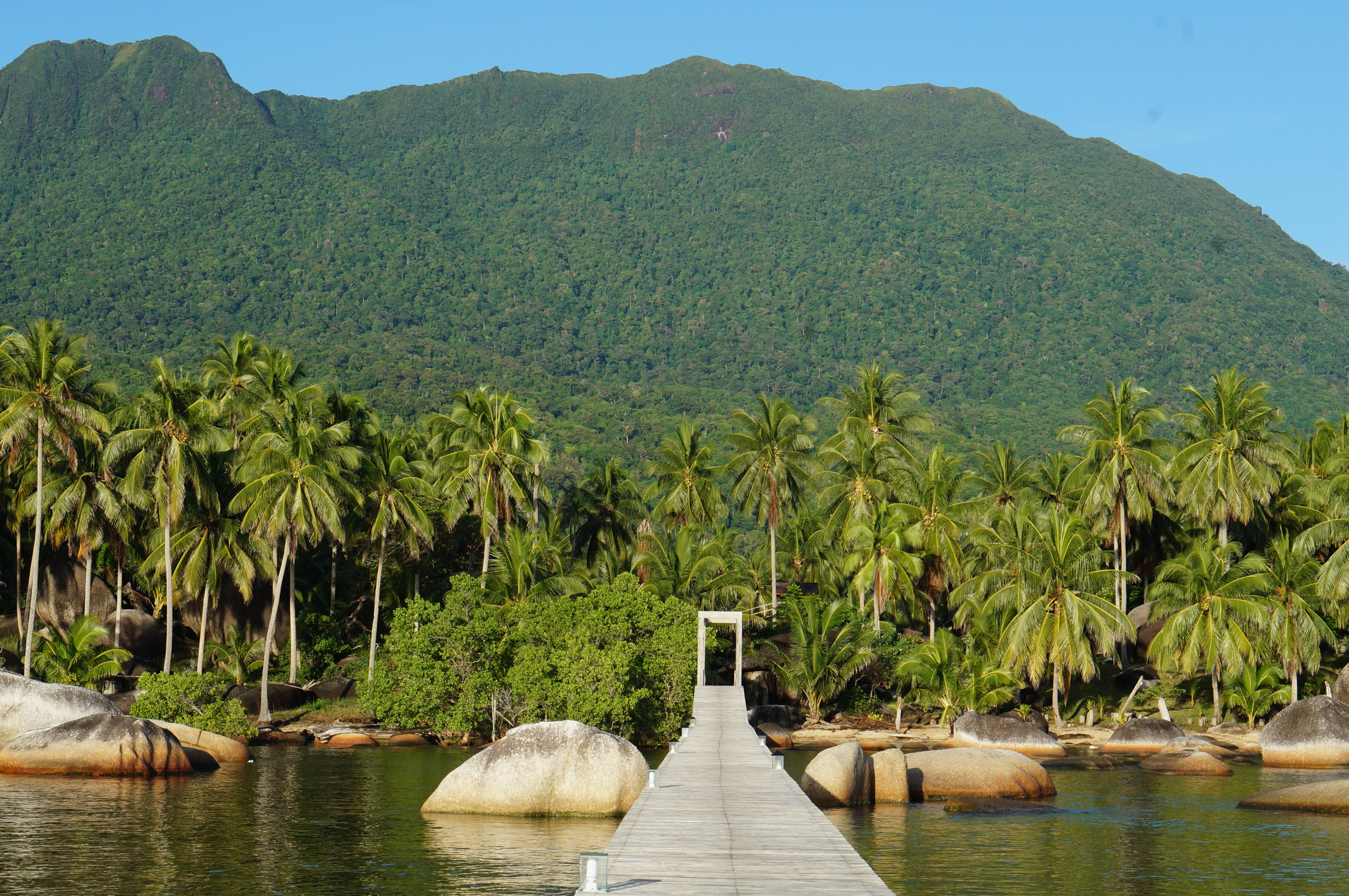 NATUNA DIVE RESORT (Pulau Natuna, Indonesia) - Ulasan & Perbandingan ...