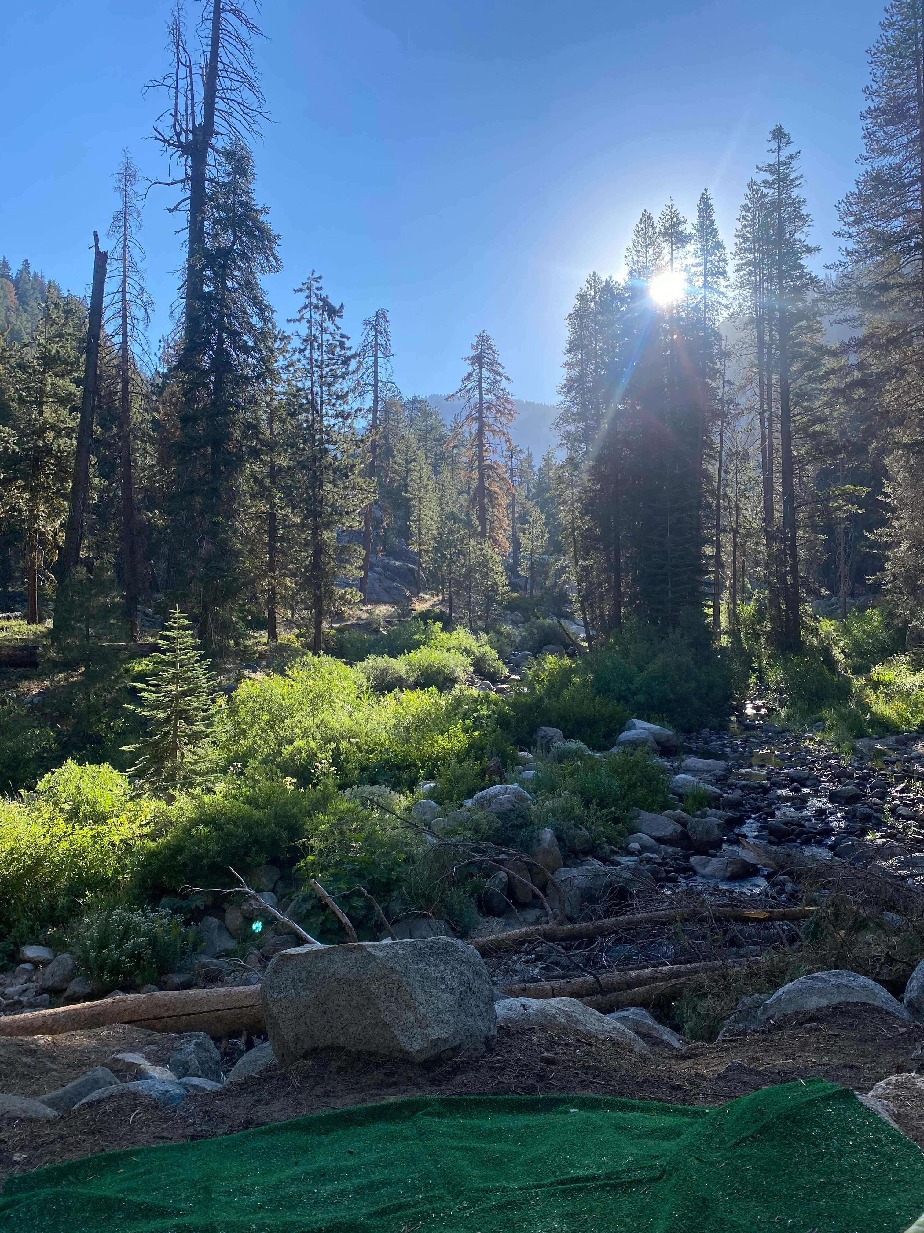 LODGEPOLE CAMPGROUND Updated 2024 Reviews Sequoia and Kings Canyon National Park CA