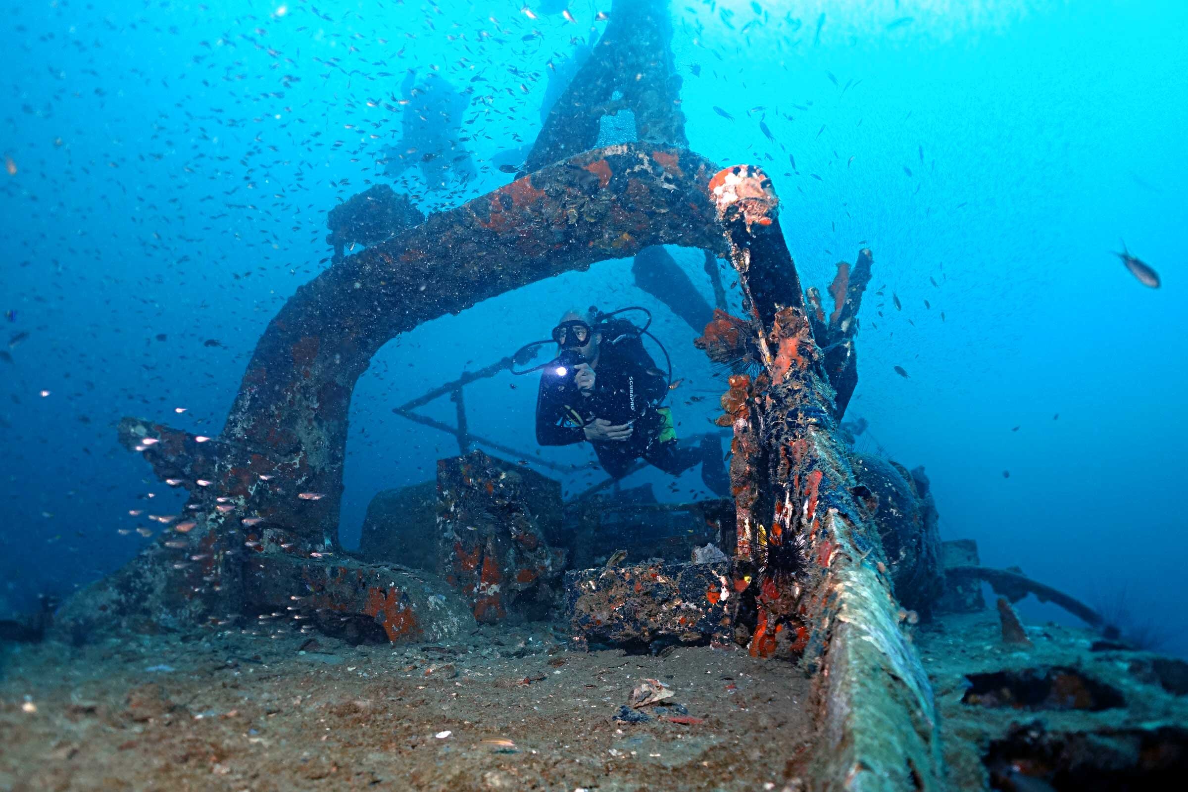 B&J DIVING CENTRE (Pulau Tioman): Tutto Quello Che C'è Da Sapere