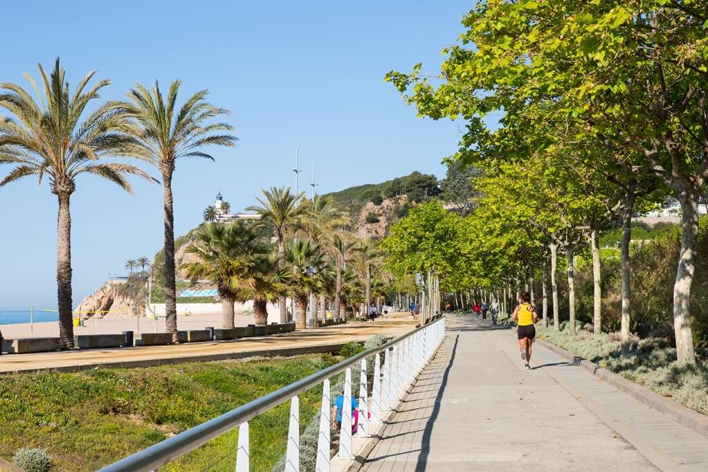 Hotel photo 15 of H.Top Calella Palace Family & Spa.