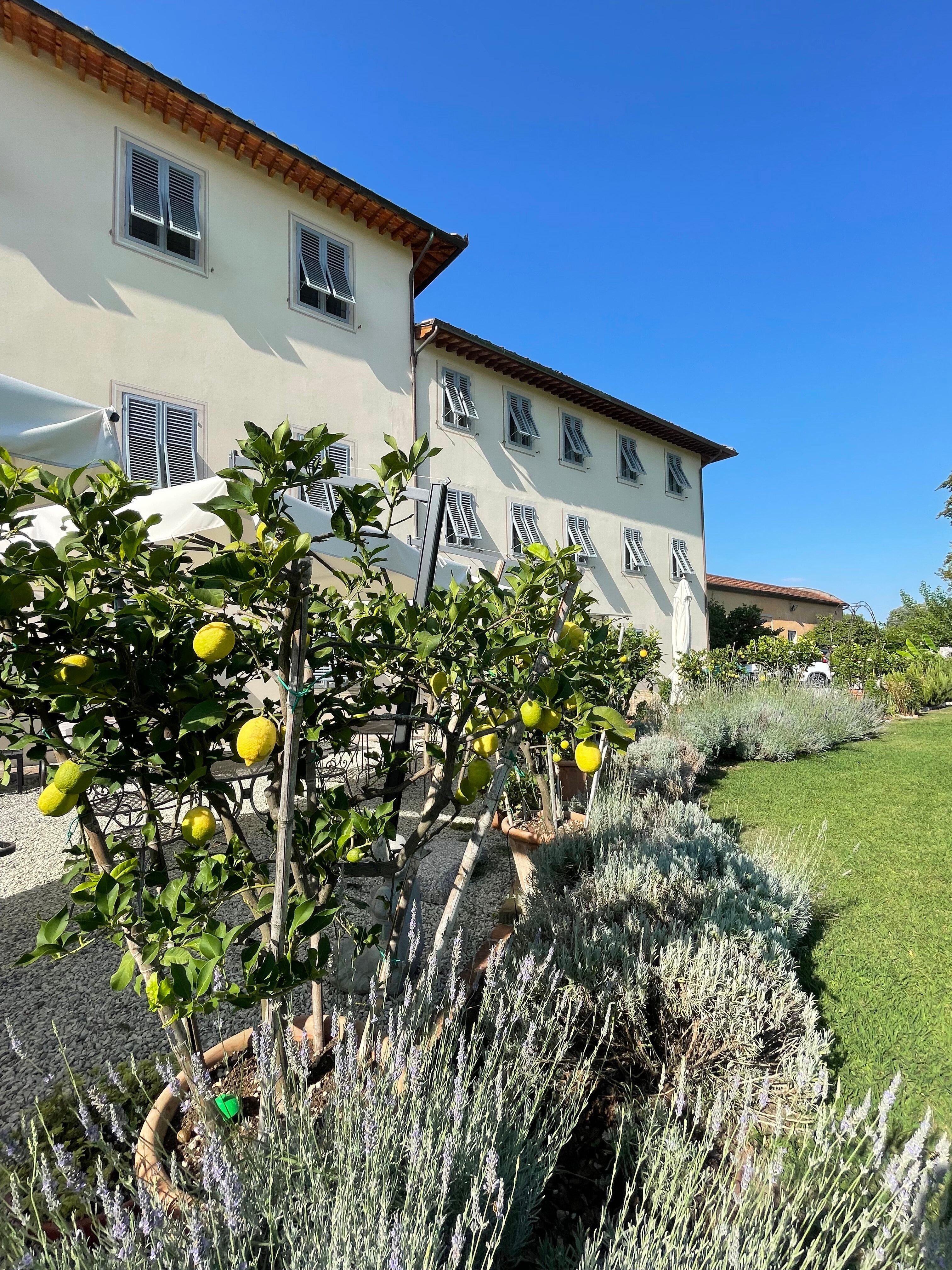 VILLA LA PREZIOSA - Updated 2022 Prices & B&B Reviews (Lucca, Italy)