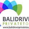 Bali Driver Private Tour