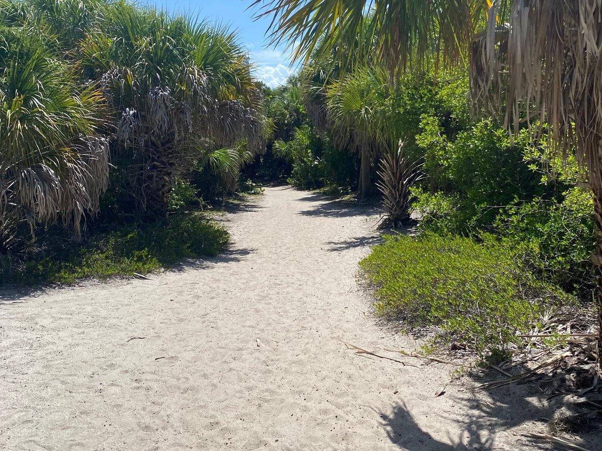 Egmont Key Boat Tour - All You Need to Know BEFORE You Go (2024)