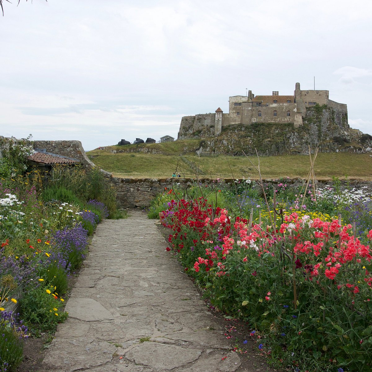 22年 The Gertrude Jekyll Garden 行く前に 見どころをチェック トリップアドバイザー