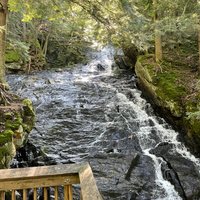 Thundering Brook Falls Trail (Killington) - All You Need to Know BEFORE ...