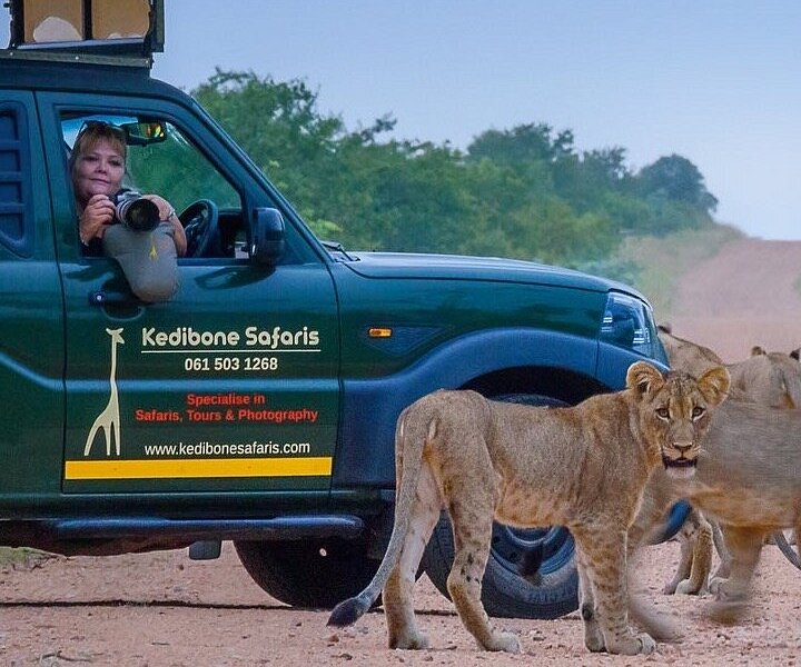Kedibone Safaris image