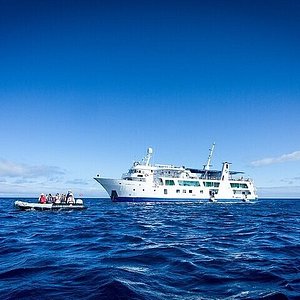 fragata yacht galapagos reviews