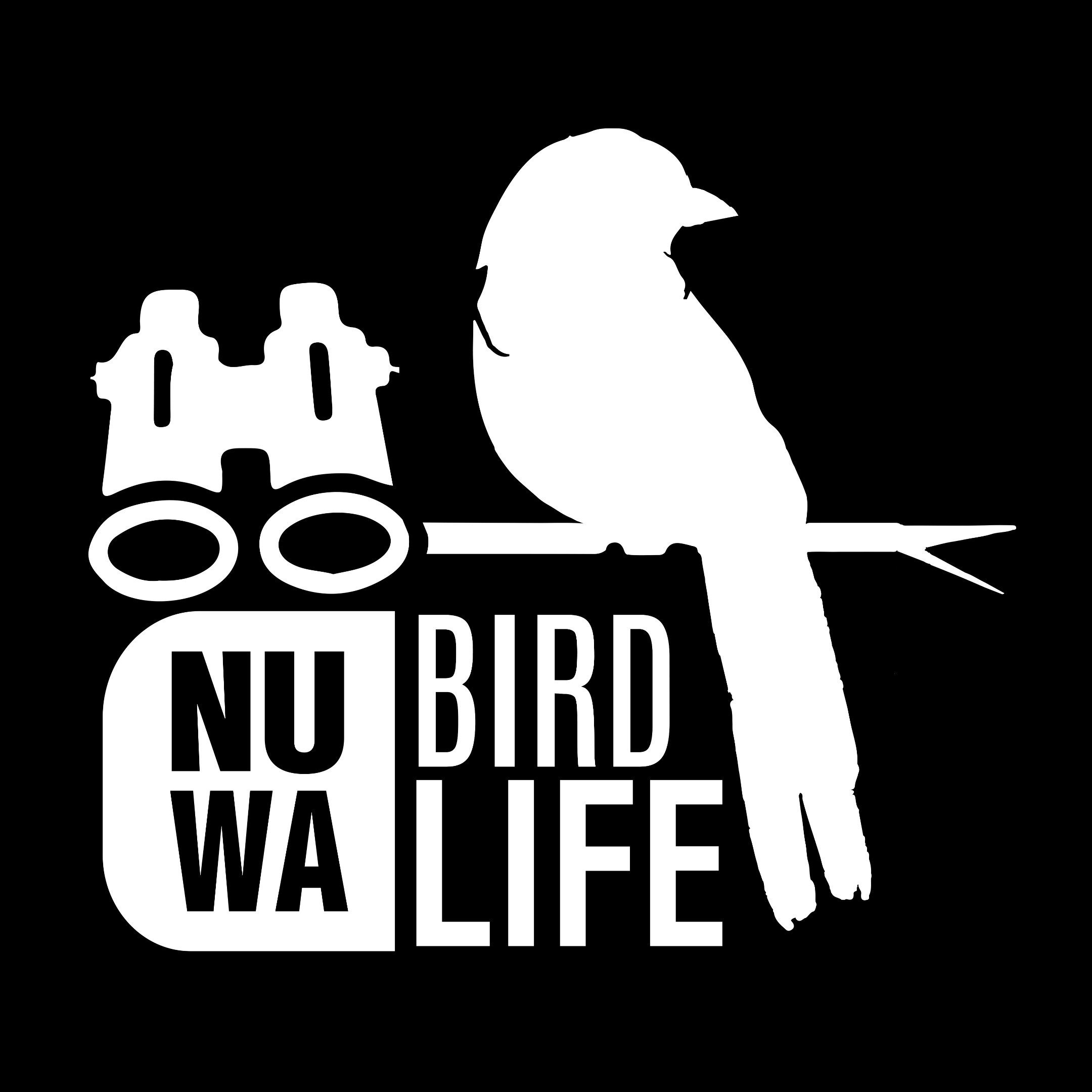 nuwabirdlife birdwatching - All You Need to Know BEFORE You Go (2024)