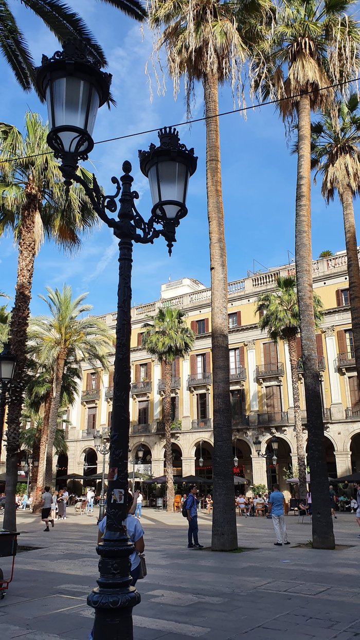 Imagen 4 de Placa Reial