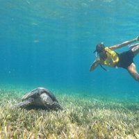 5 in 1 cancun snorkeling tour