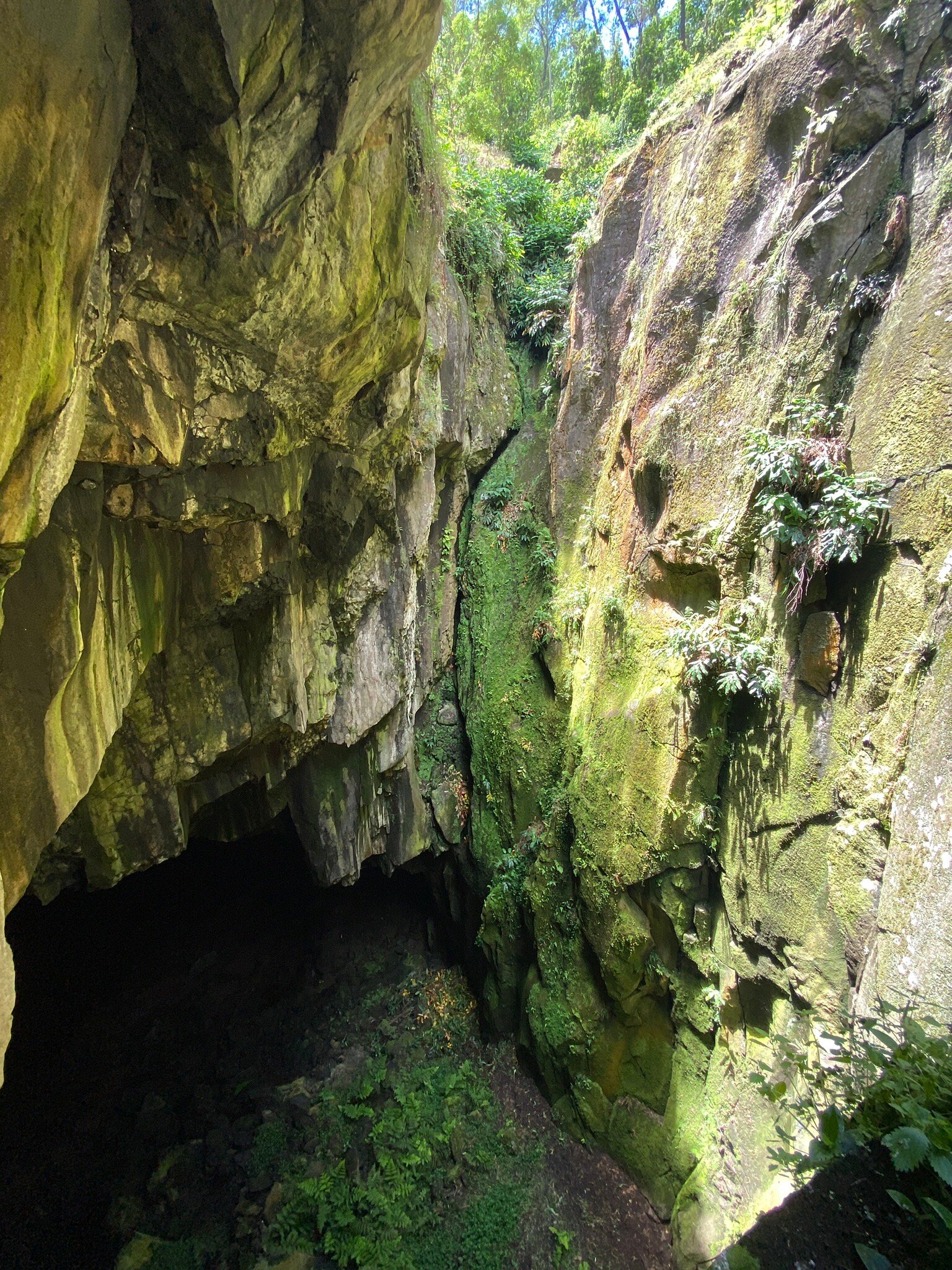 THE 10 BEST Portugal Caverns Caves Updated 2024 Tripadvisor   Entry And Inside The 