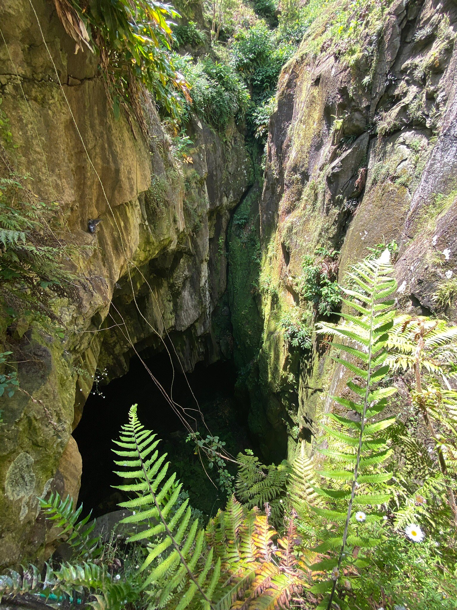 THE 10 BEST Portugal Caverns Caves Updated 2024 Tripadvisor   Entry And Inside The 