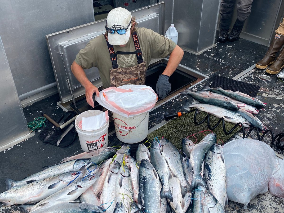 Puffin Fishing Charters (Seward) - All You Need to Know BEFORE You Go