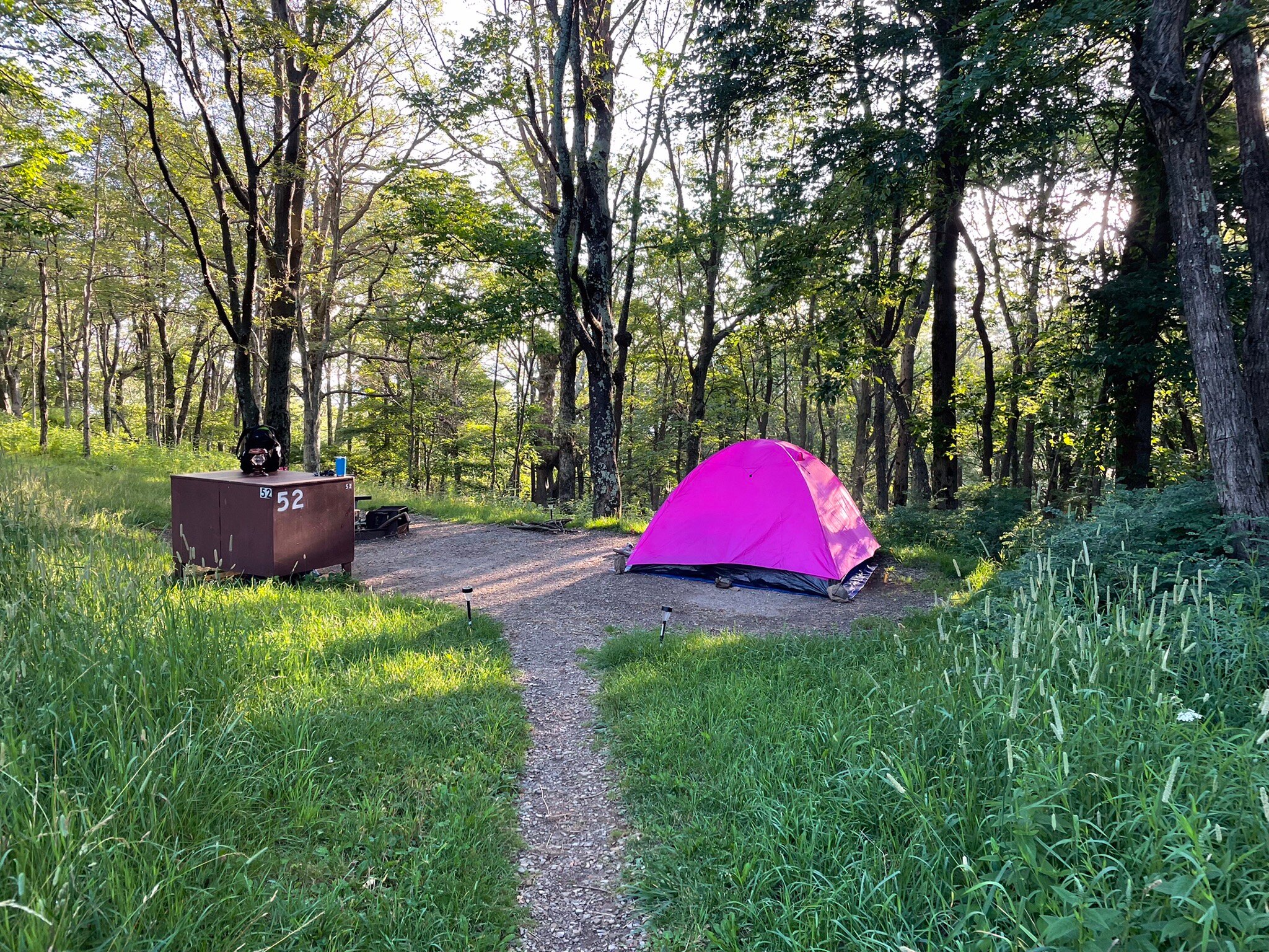 Hiking near big meadows campground best sale