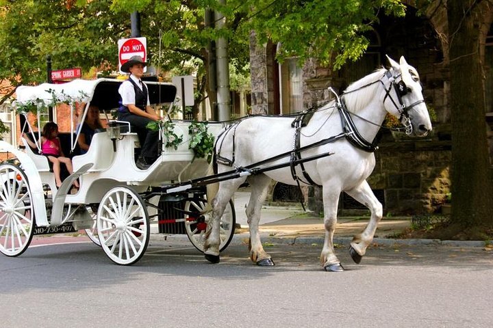 Horse and hot sale buggy ride nyc