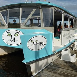 cape fear riverboats prices