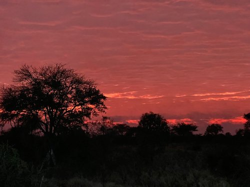 Sabi Sand Game Reserve review images