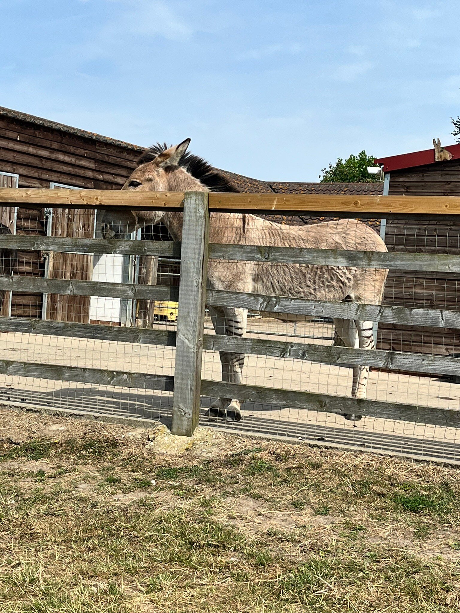 RADCLIFFE DONKEY SANCTUARY (Huttoft) - All You Need To Know BEFORE You Go