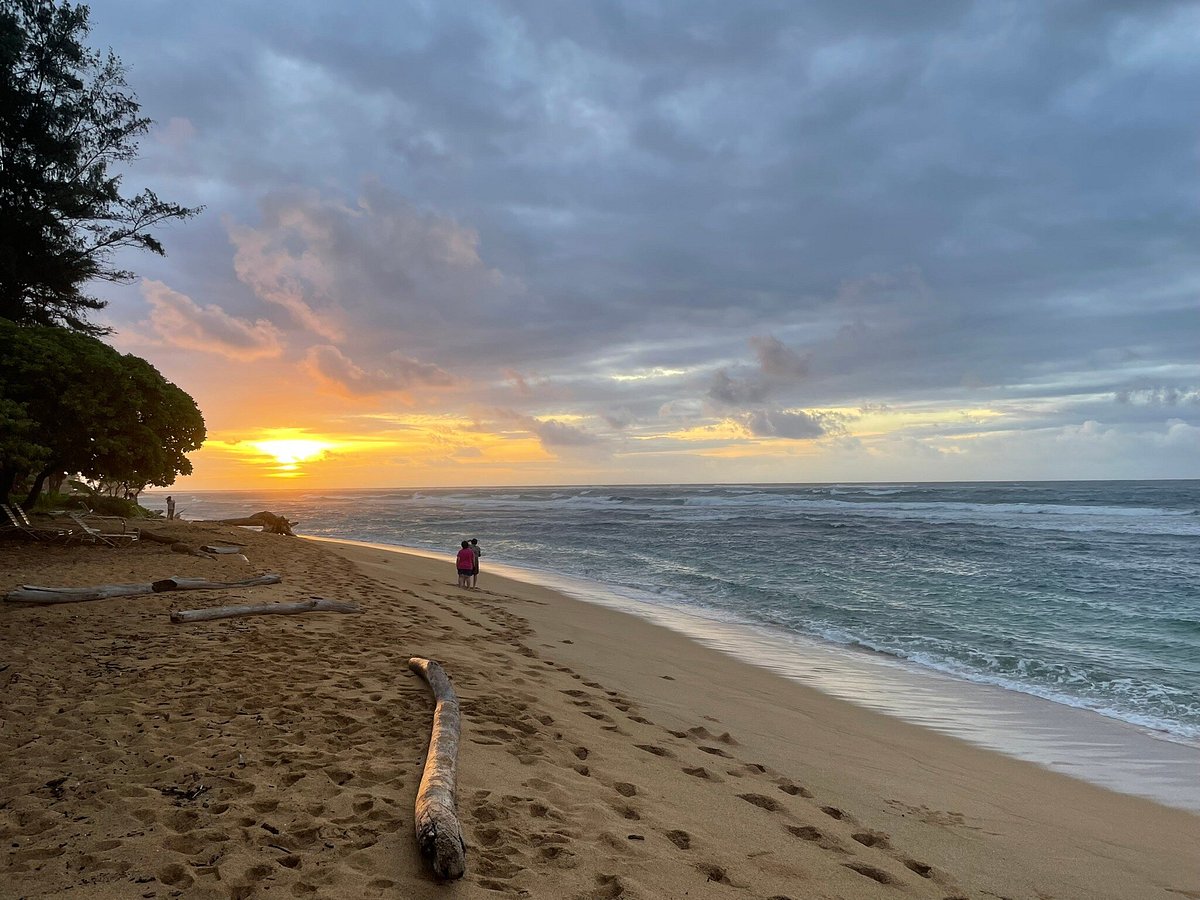 KAUAI YOGA ON THE BEACH - 93 Photos & 65 Reviews - 420 Papaloa Rd