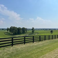 Mill Ridge Farm (Lexington) - All You Need to Know BEFORE You Go