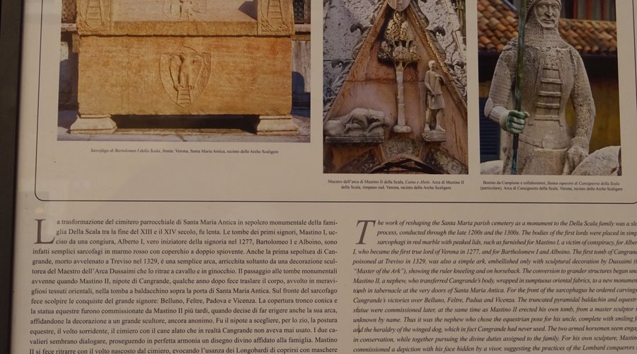 Arche Scaligere