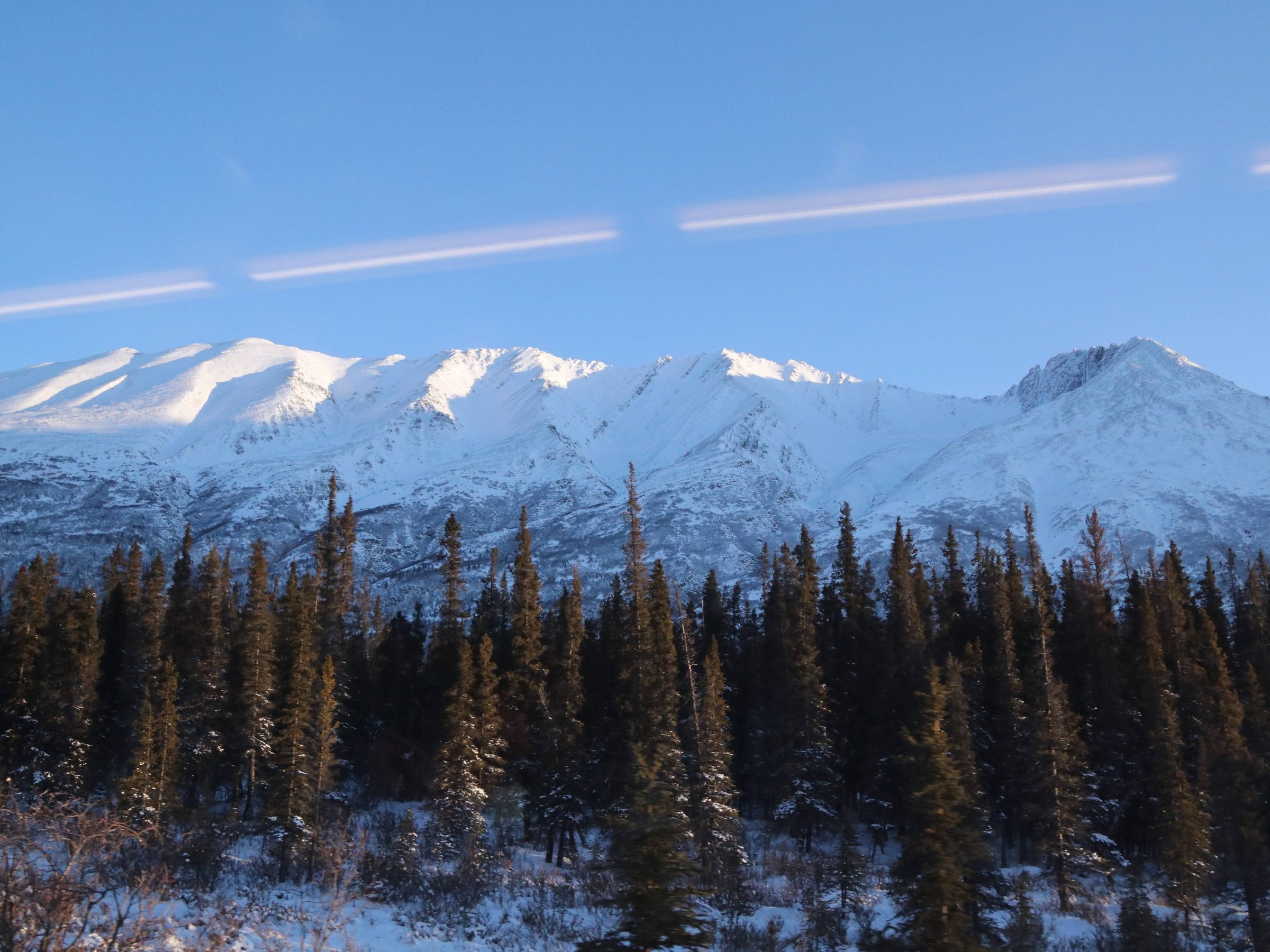 Aurora Winter Train - Day Tours (Anchorage) - All You Need to Know ...