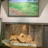 Museum of Geology (Rapid City) - All You Need to Know BEFORE You Go