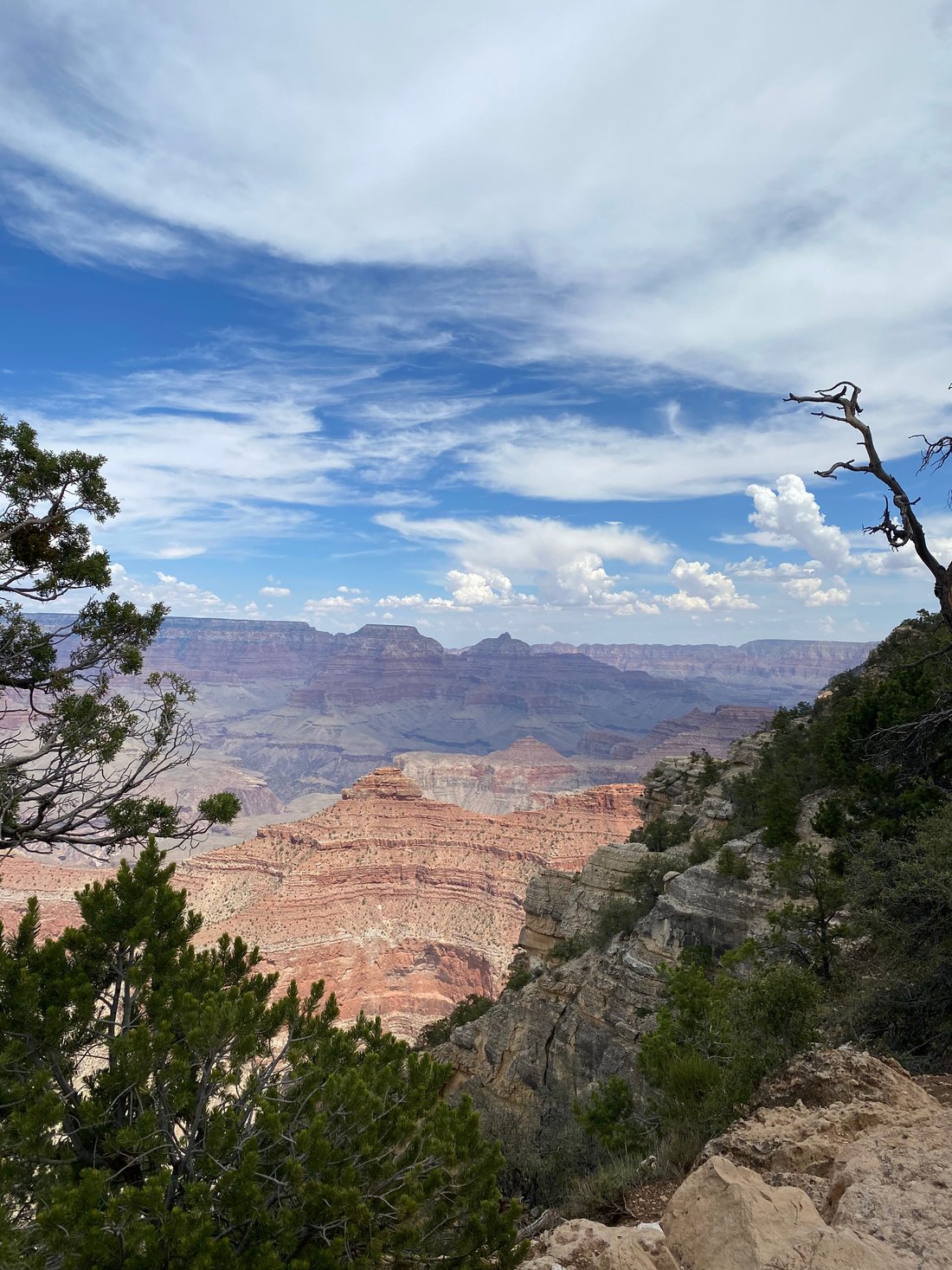 Mather Campground - UPDATED 2022 Prices, Reviews & Photos (Grand Canyon National Park, AZ 