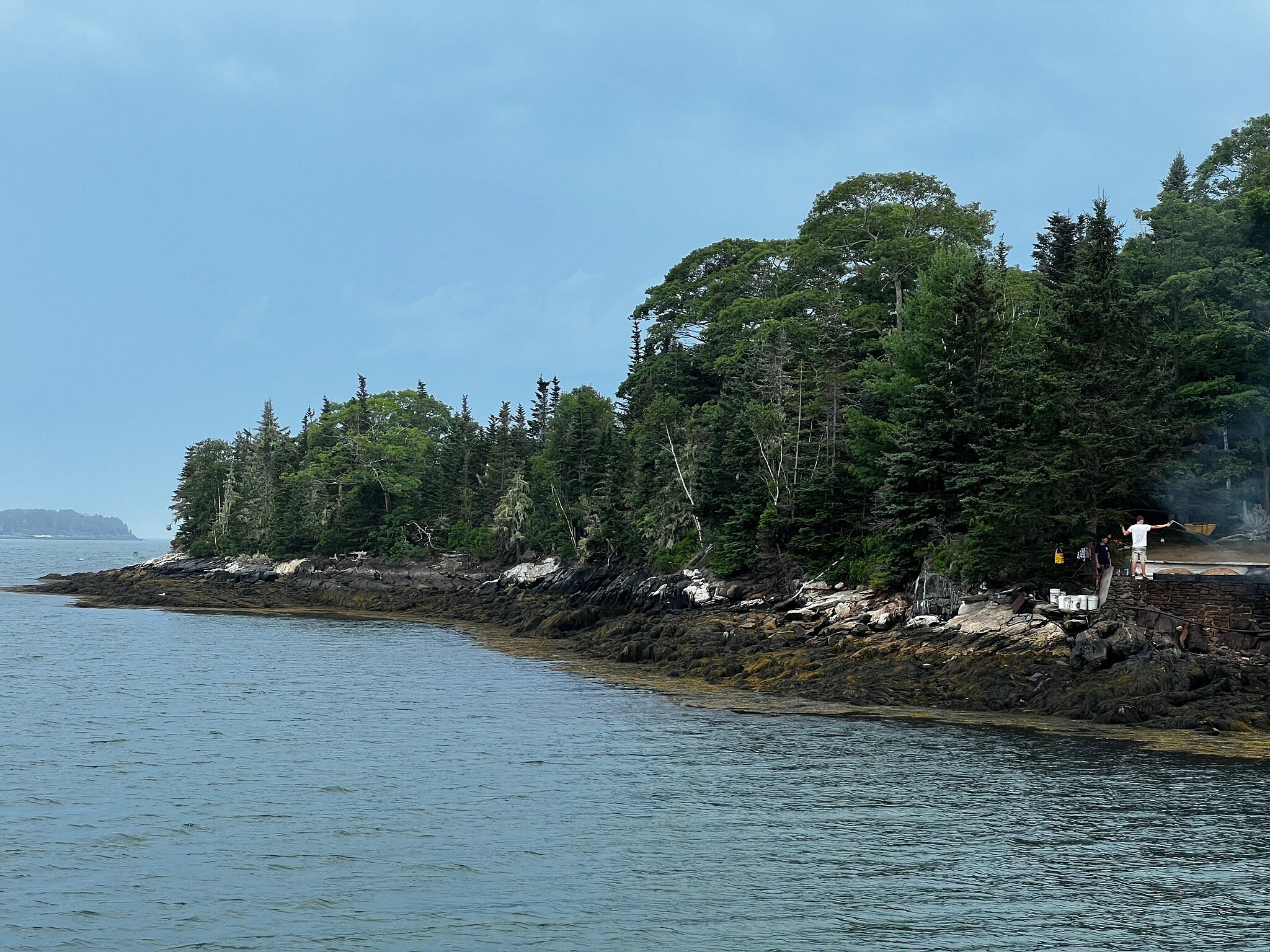 Cabbage Island Clambakes (Boothbay Harbor) All You Need to Know BEFORE You Go