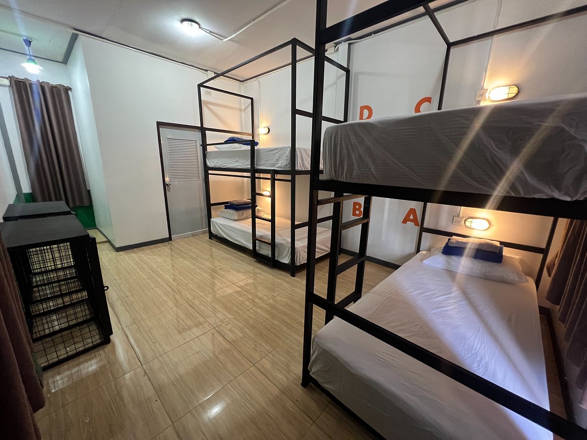 Revolution Pai Rooms: Pictures & Reviews - Tripadvisor