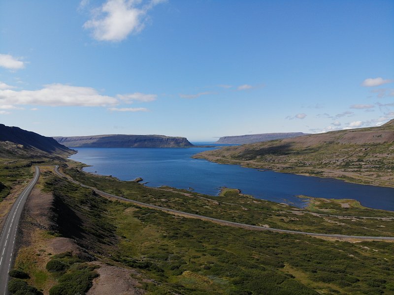 Green grass field near body of water in Westfjords, Iceland during the day