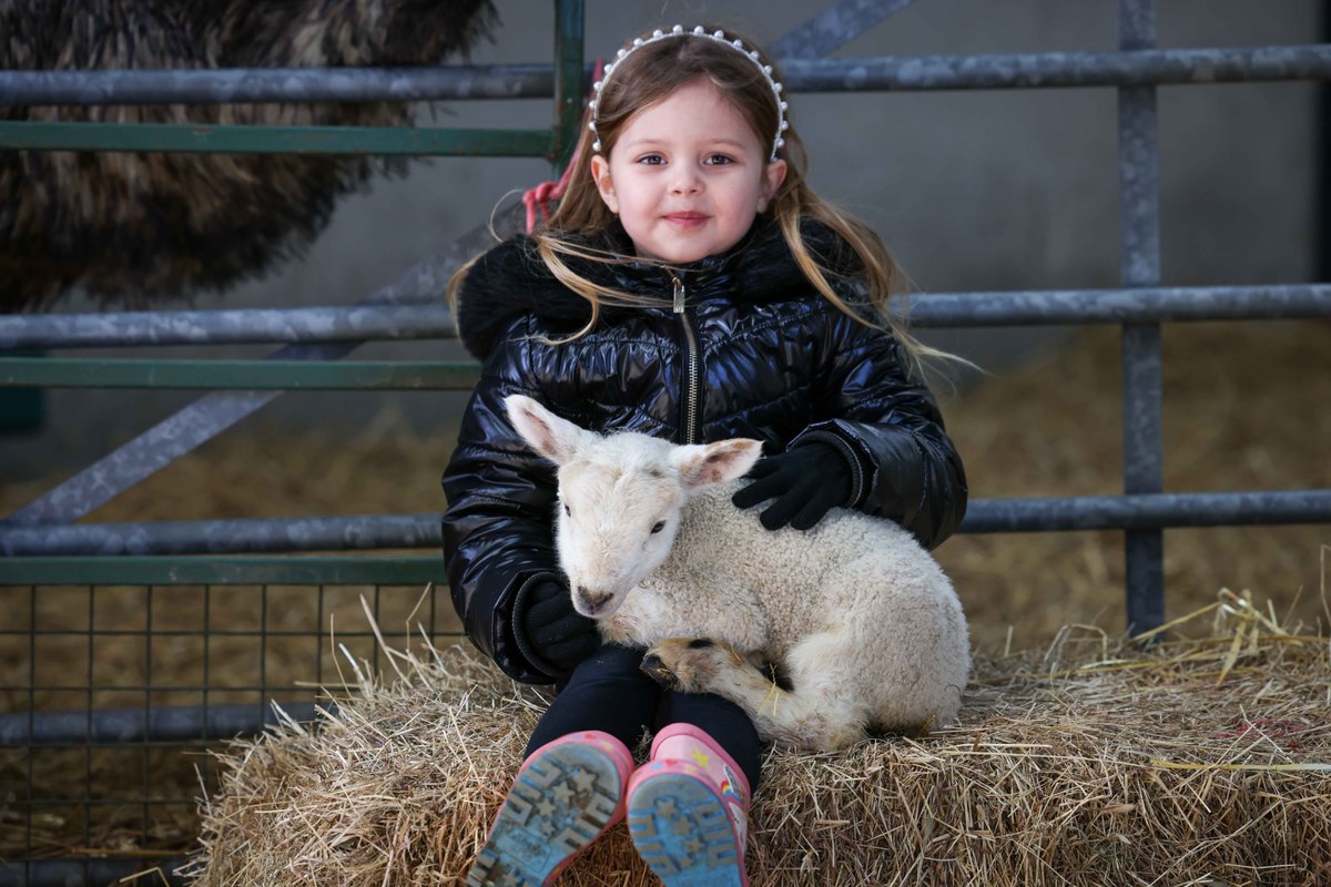 PARQUE DE LA RESERVA DE VIDA SALVAJE DE WHITEHOUSE FARM NORTHUMBERLAND INGLATERRA