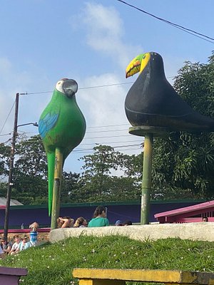 TORTUGA LODGE & GARDENS (TORTUGUERO, COSTA RICA): 1.969 fotos, comparação  de preços e 7 avaliações - Tripadvisor